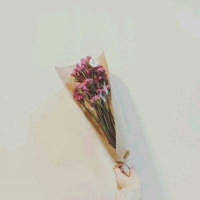 挂机天使公益服下载